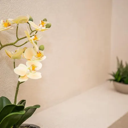 Seara Pe Deal Guest house Corusu